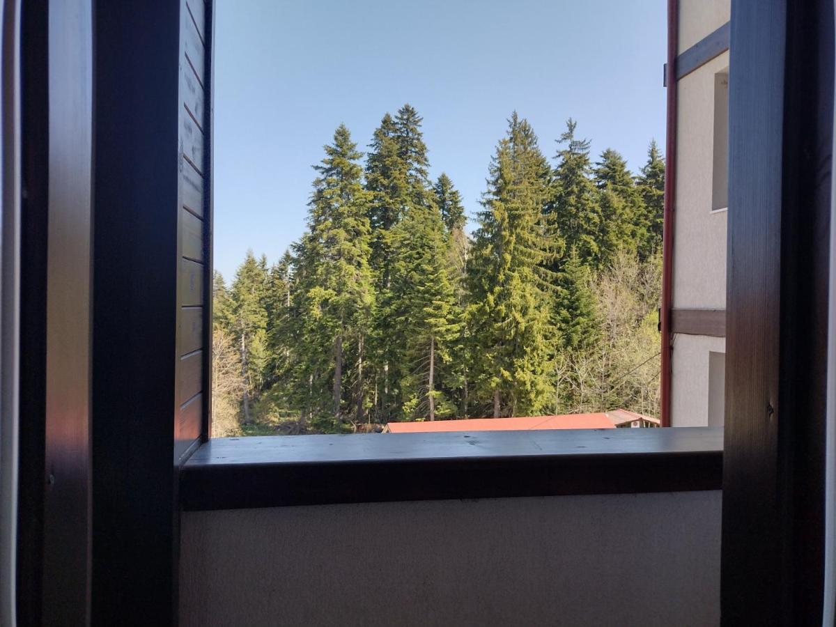Apartment Seasons Iglika 2 *